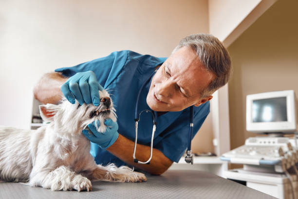 Best Emergency Tooth Extraction in Forest Hill, TX