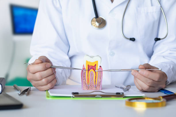Best Emergency Gum Treatment in Forest Hill, TX